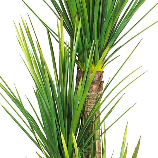 4.8ft. Potted Yucca Tree